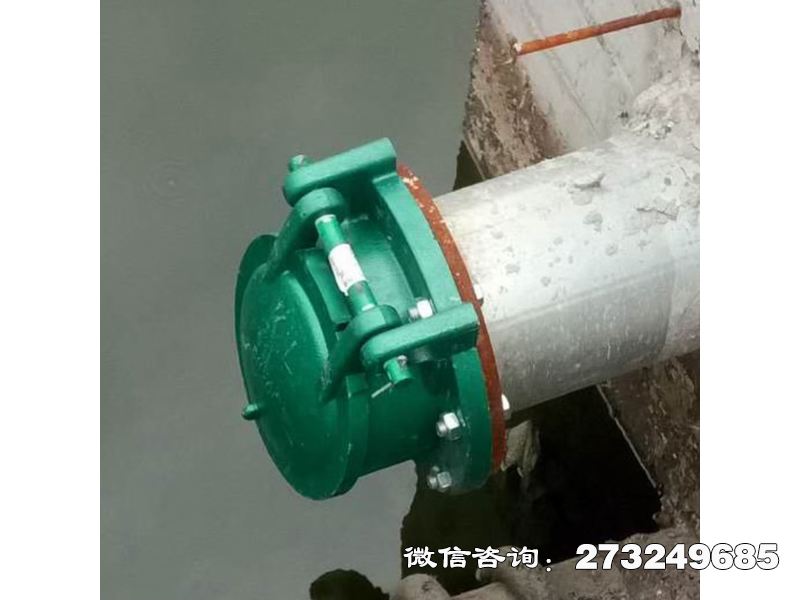 十堰污水管道玻璃鋼拍門