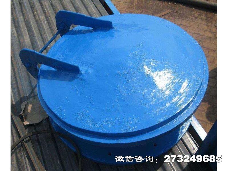 十堰復(fù)合材料防倒灌拍門