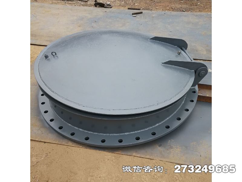 泵站防逆流不銹鋼拍門(mén)