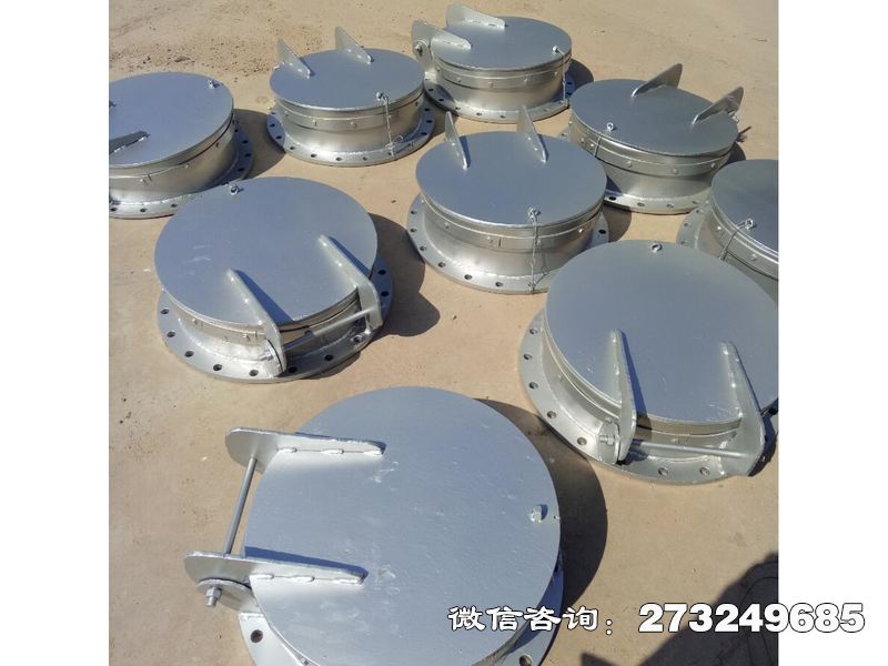 伊春防倒灌不銹鋼拍門