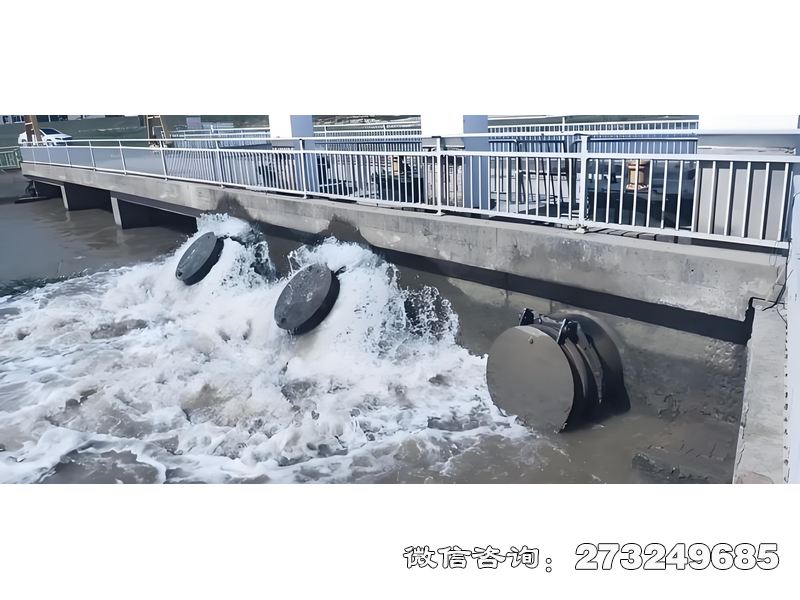 伊春內(nèi)河潮門拍門