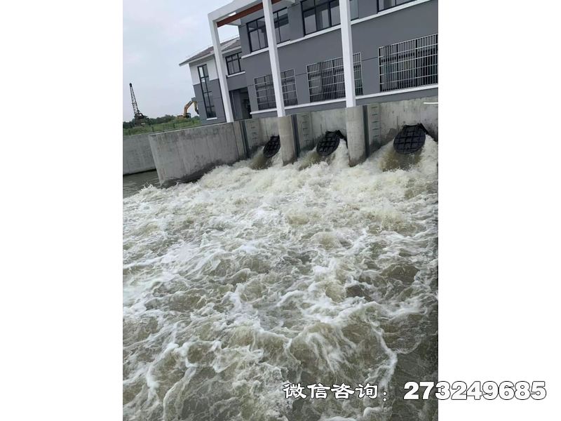 伊春防潮堤潮門拍門