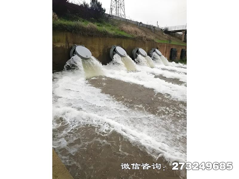 伊春排水管網(wǎng)末端潮門拍門