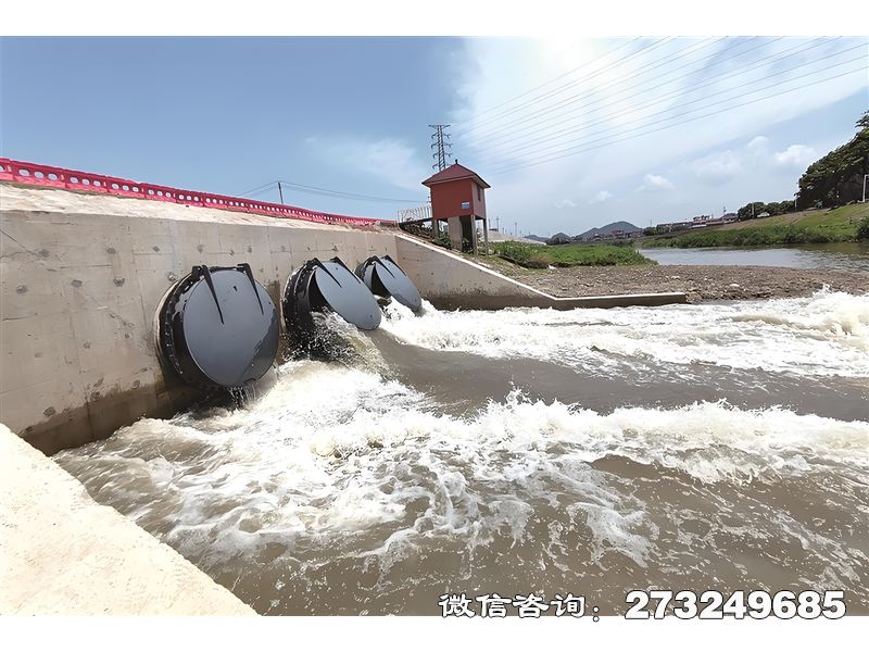 伊春蓄滯洪區(qū)潮門拍門