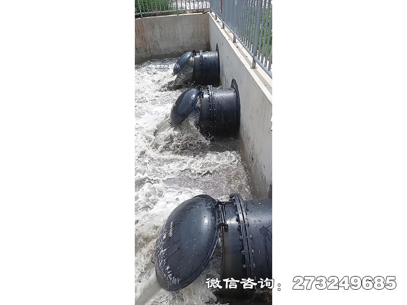 伊春污水處理廠潮門拍門