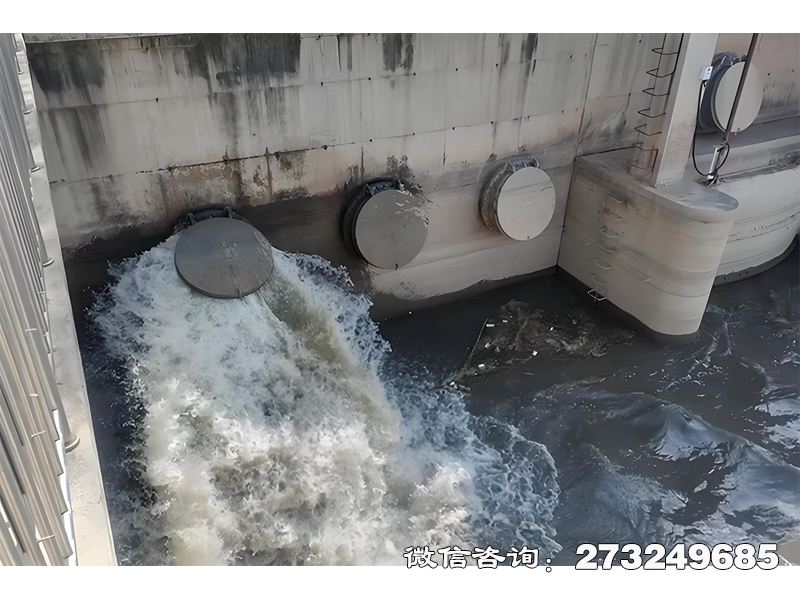涿州隧道排水口潮門拍門