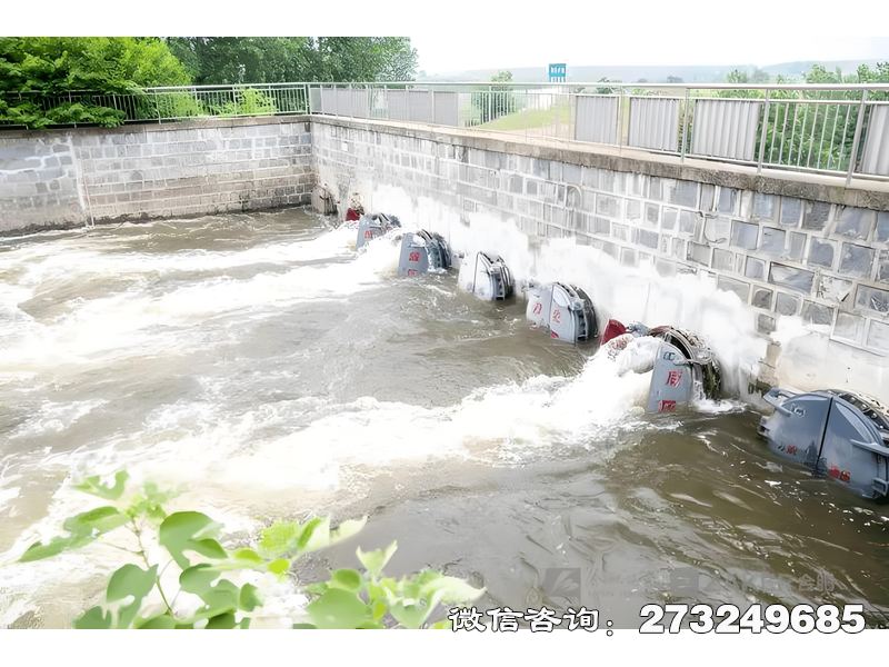 涿州河道防洪堤排水潮門拍門