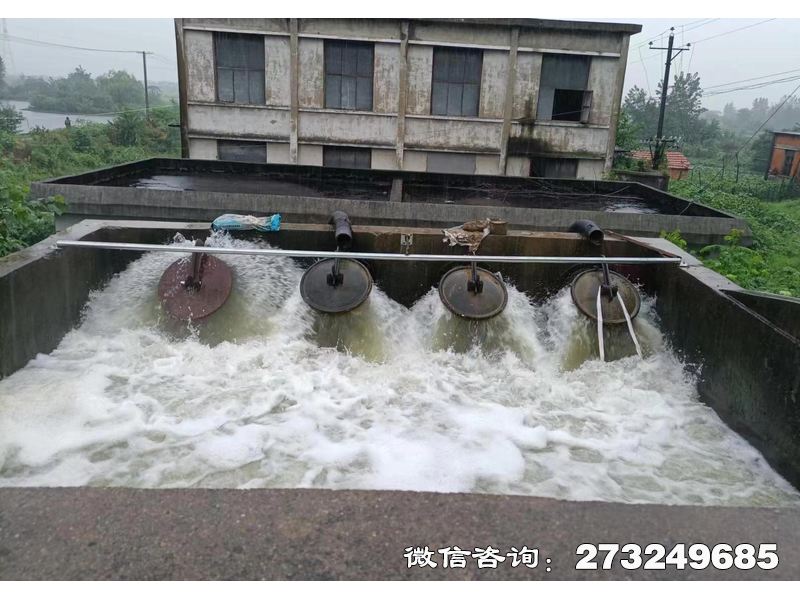 德州行洪區(qū)退水口潮門拍門