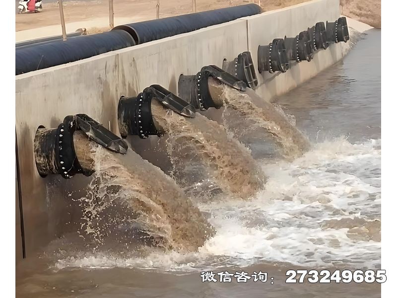 德州蓄滯洪區(qū)分洪閘潮門拍門