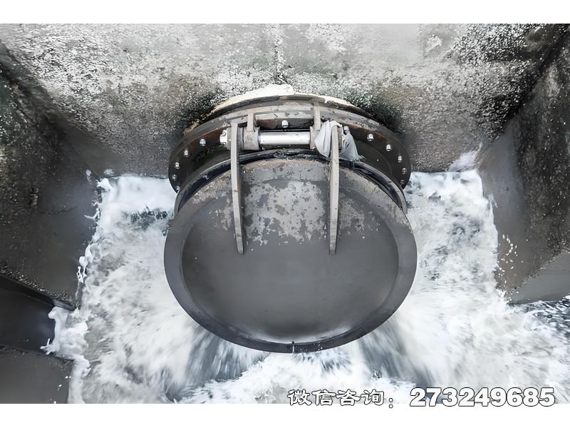 德州河道排水潮門拍門