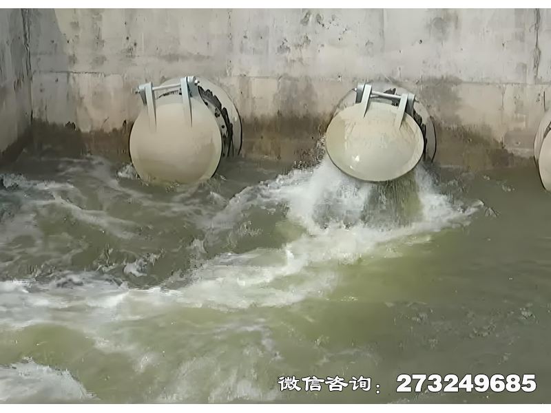 德州河道生態(tài)護(hù)岸排水潮門拍門