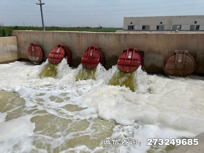德州河口整治工程潮門拍門