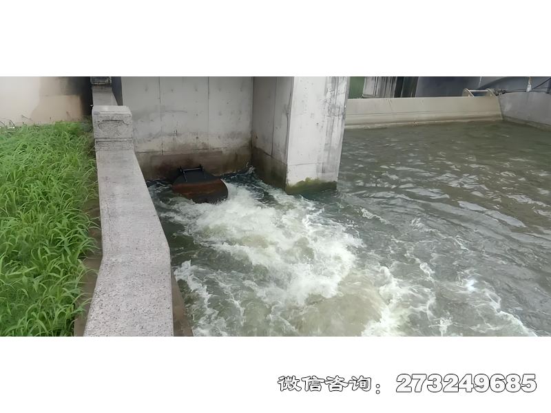 德州海塘防潮閘潮門拍門