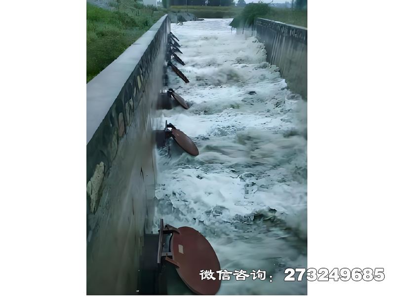 進(jìn)出口潮門拍門
