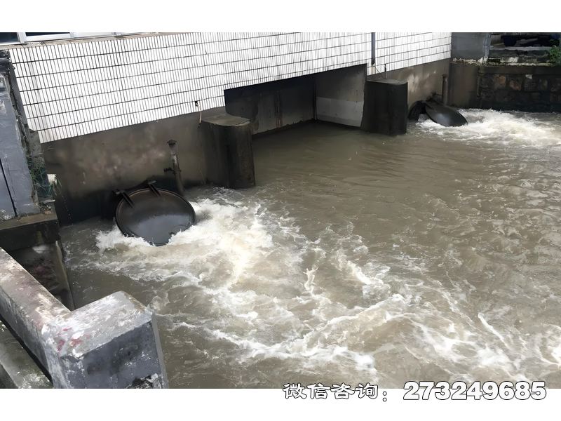 酒泉泵站潮門拍門