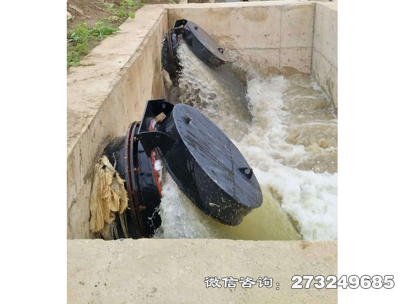 酒泉水庫潮門拍門