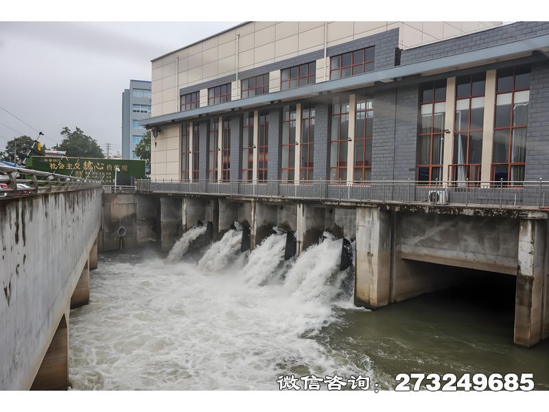 伊春沿海地區(qū)潮門拍門