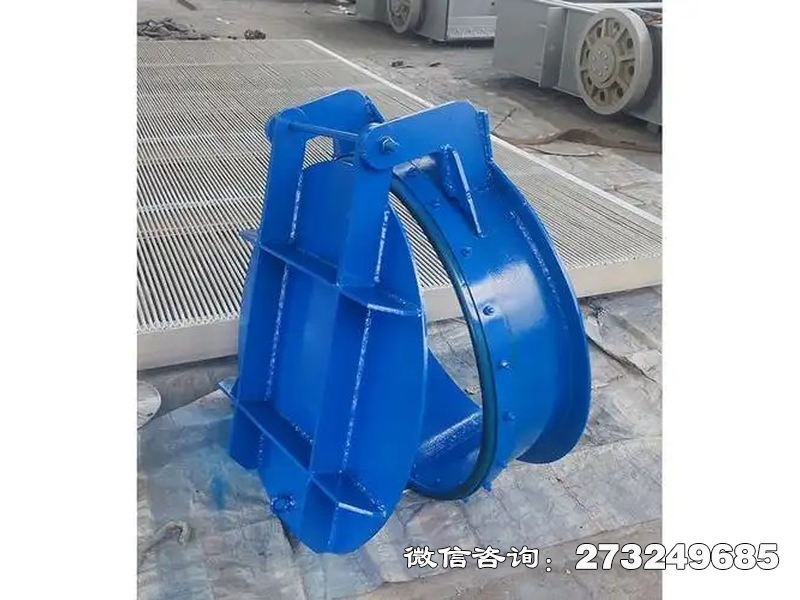 水庫(kù)鋼制防倒灌拍門