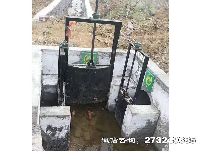 分水灌渠機(jī)閘一體閘門(mén)