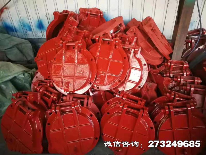 瀏陽鑄鐵圓形泵站拍門